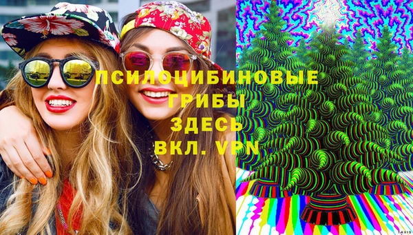 гидропоника Медногорск