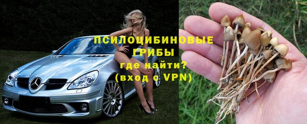 гидропоника Медногорск