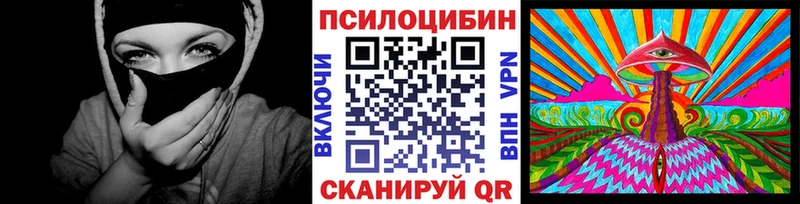 закладка  Нариманов  Галлюциногенные грибы MAGIC MUSHROOMS 